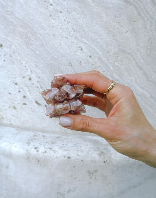 Hand holding a small stone with a textured white background