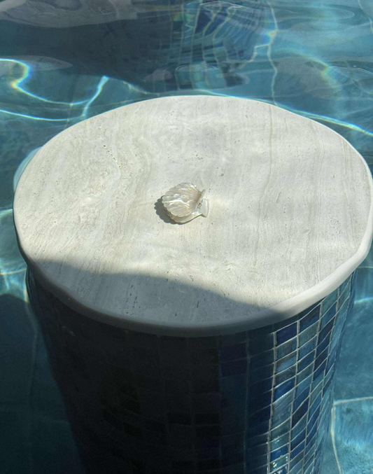shell clip